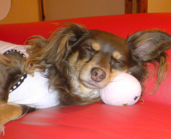 20100429205121.jpg