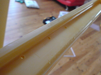 DSC00746.jpg
