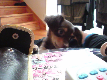 20080604004342.jpg