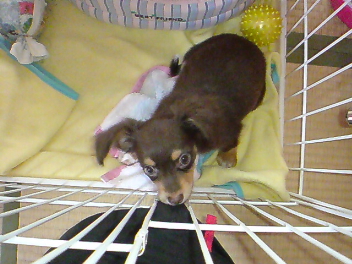 20080604220652.jpg