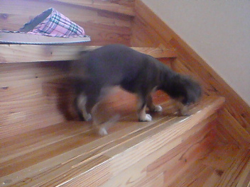 20080606215553.jpg
