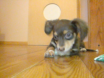 20080612221351.jpg