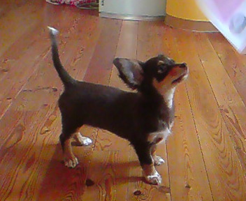 20080614161845.jpg