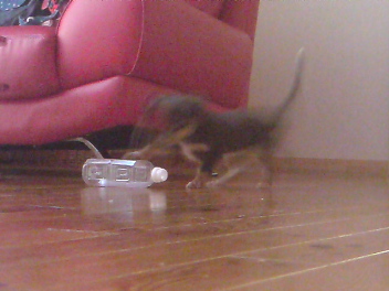 20080618230057.jpg