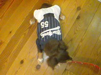 20080620223701.jpg