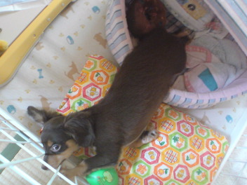20080630213028.jpg