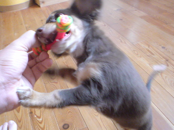 20080704024109.jpg