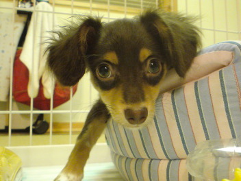 20080711233226.jpg