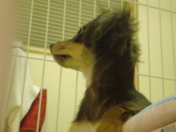 20080715024814.jpg