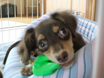 20080719003804.jpg