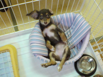 20080723025653.jpg
