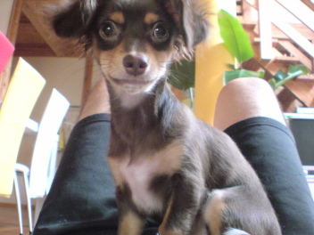 20080730211252.jpg