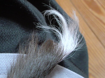20080731212456.jpg