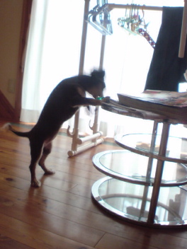 20080801222516.jpg