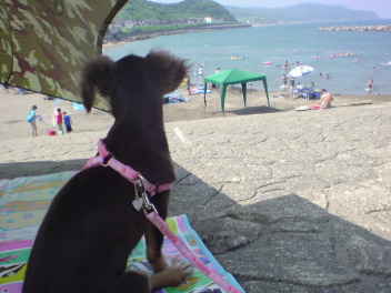 20080810213037.jpg