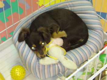 20080818210845.jpg