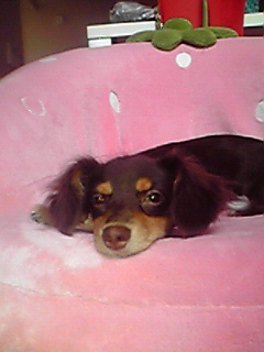 20080917210436.jpg