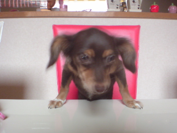 20081004042822.jpg