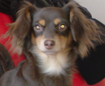 20090106000202.jpg