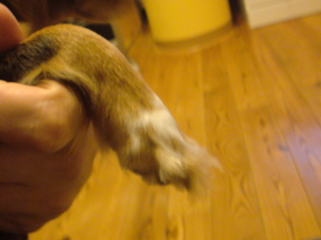 20090322064003.jpg
