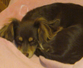 20090409000608.jpg