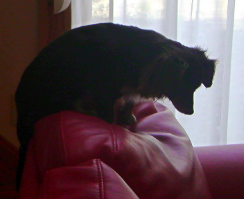 20090430234151.jpg