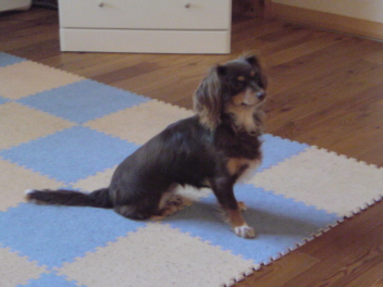 20090522220809.jpg
