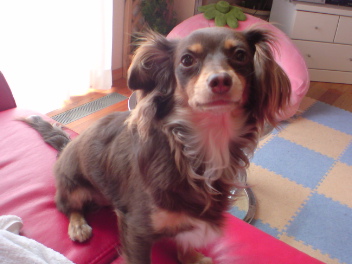 20090528222441.jpg