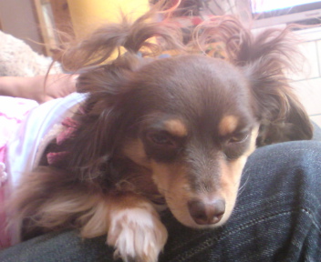 20100512220941.jpg